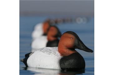 Image of Greenhead Gear Over-Size Duck Decoy,Canvasbacks,1/2 Dozen 73049