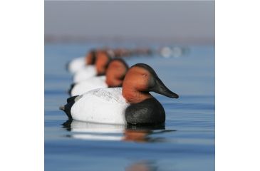 Image of Greenhead Gear Over-Size Duck Decoy,Canvasbacks,1/2 Dozen 73049