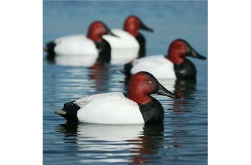 Image of Greenhead Gear Over-Size Duck Decoy,Canvasbacks,1/2 Dozen 73049