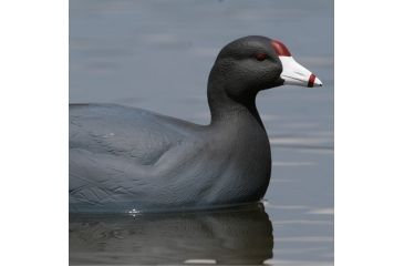 Image of Greenhead Gear Over-Size Duck Decoy,Coots,1/2 Dozen 73014
