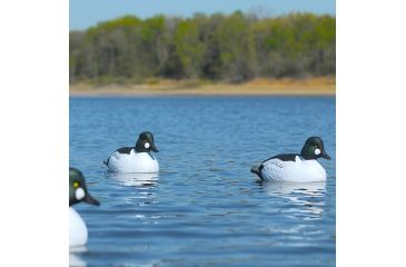 Image of Greenhead Gear Over-Size Duck Decoy,Goldeneyes,1/2 Dozen 73047