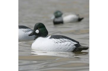 Image of Greenhead Gear Over-Size Duck Decoy,Goldeneyes,1/2 Dozen 73047