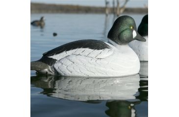 Image of Greenhead Gear Over-Size Duck Decoy,Goldeneyes,1/2 Dozen 73047