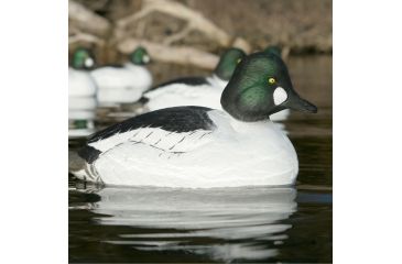 Image of Greenhead Gear Over-Size Duck Decoy,Goldeneyes,1/2 Dozen 73047