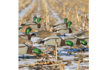 Image of Greenhead Gear Over-Size Duck Decoy,Mallard Shells/Active Pack,Dozen 70166