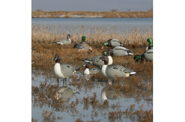 Image of Greenhead Gear Over-Size Duck Decoy,Pintail Full Body Active 4-pack 70826