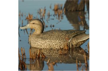 Image of Greenhead Gear Over-Size Duck Decoy,Pintails,1/2 Dozen 73032