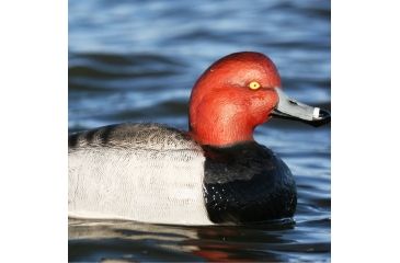 Image of Greenhead Gear Over-Size Duck Decoy,Redheads,1/2 Dozen 73029