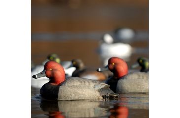 Image of Greenhead Gear Over-Size Duck Decoy,Redheads,1/2 Dozen 73029