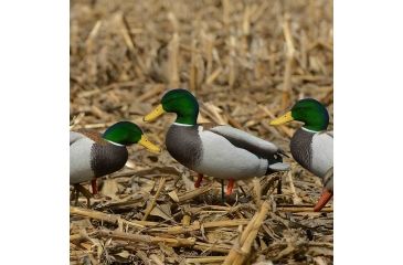 Image of Greenhead Gear PG FB January Mallards/Harvester Pack w/flocked drake heads,1/2 Dozen 72228
