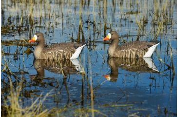 Image of Greenhead Gear Pro-Grade Specklebelly Floaters Decoy,Active Pack,4-Pack 71095