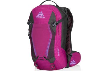 Image of Gregory Amasa 10 Backpack, 10 L, Sangria/Purple, 77901-5615