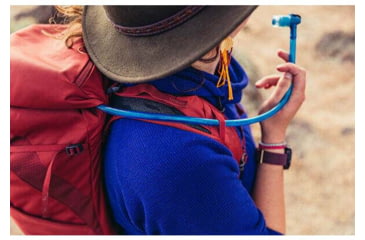 Image of Gregory Arrio 24 L Pack, Brick Red, One Size Plus, 139267-1129