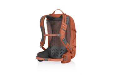 Image of Gregory Citro 25L Daypack, Ferrous Orange, 77861-6397