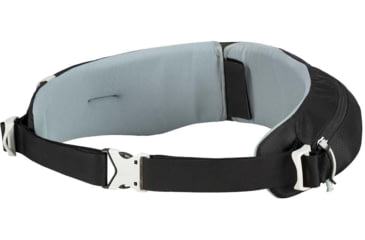 Image of Gregory Denali Hipbelt Pack, Basalt Black, Large, 65671-2917