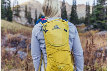 Image of Gregory Pace 3L H2O Pack - Womens, Mineral Yellow, One Size, 143373-1561