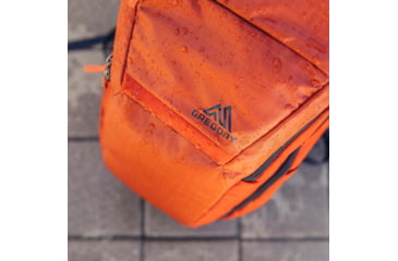 Image of Gregory Resin 30 Backpack, Sienna Red, One Size, 132714-T430
