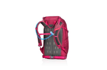 Image of Gregory Swift 20 3D-Hydro Large Day Pack,Orchid Red, - Women's 91604-6394