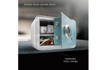 Image of Guard Dog Security Small Biometric Safe, 3 Way Access, Aqua, One Size, SF-GDBSS-AQ