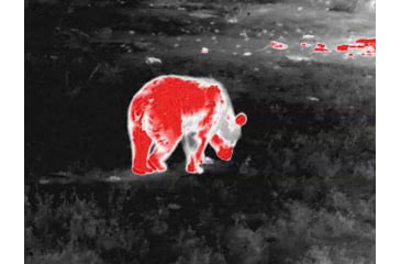 Image of Guide Sensmart TD Gen2 Series TD411 1.4-5.6x19mm Thermal Monocular, 384x288, Black, TD411