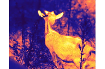 Image of Guide Sensmart TD Gen2 Series TD411 1.4-5.6x19mm Thermal Monocular, 384x288, Black, TD411