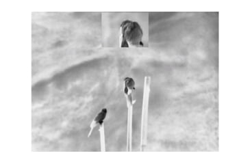 Image of Guide Sensmart TN series LRF TN630 2.0-16x30mm Thermal Binocular, 640x480, Black, TN630LRF