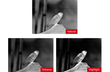 Image of Guide Sensmart TN series LRF TN630 2.0-16x30mm Thermal Binocular, 640x480, Black, TN630LRF