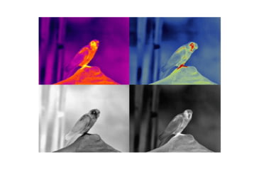 Image of Guide Sensmart TN series LRF TN650 2.8-22.4x50mm Thermal Binocular, 640x480, Black, TN650LRF