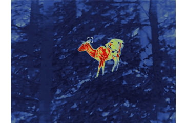 Image of Guide Sensmart TU Series TU431 2.6-10,4x35mm Thermal Rifle Scope, 400x300, Black, TU431