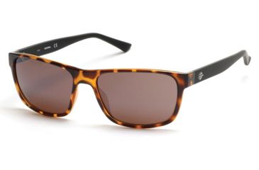 Image of Harley Davidson Eyewear HD0915X Single Vision Prescription Sunglasses HD0915X6252G - Lens Diameter 62 mm, Frame Color Dark Havana