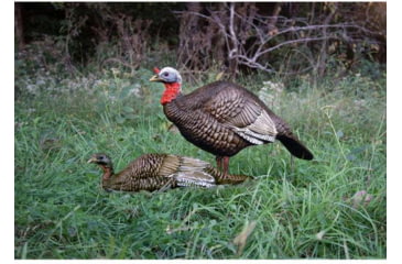 Image of Higdon Outdoors 1/4 Strutt &amp; Laydown Hen, Jake &amp; Jill, 63181