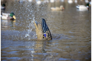 Image of Higdon Outdoors 50044 XS Pulsator Mallard Hen Brown W/Black Accents Rechargeable 1