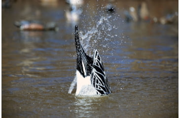 Image of Higdon Outdoors 50534 XS Pulsator Pintail Black/Gray Rechargeable 12V Li-ion Pinta