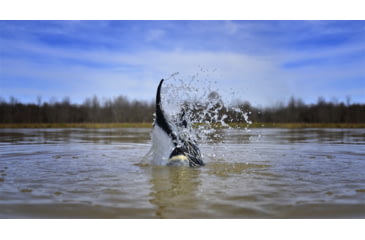 Image of Higdon Outdoors 50534 XS Pulsator Pintail Black/Gray Rechargeable 12V Li-ion Pinta