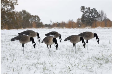 Image of Higdon Outdoors APEX Canada Goose Decoy Flocked Head, Lifesize, 72247