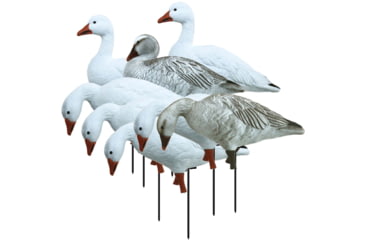 Image of Higdon Outdoors APEX Full-Size Full-Body Variety Pack Decoy, Snow/Juvenile, 72338