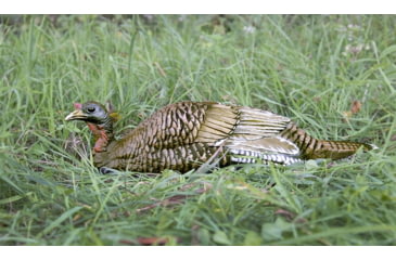 Image of Higdon Outdoors Hard Body Laydown Hen Turkey Decoy, 63133