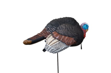 Image of Higdon Outdoors Higdon Hard Body Breeding Jake Turkey Decoy, 63155