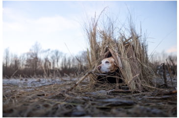 Image of Higdon Outdoors Higdon Blind Quick Draw Dog Blind Dirt AB3F41A9