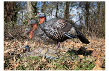 Image of Higdon Outdoors XS TruBreeder Motion Breeding Pair Turkey Decoys, Lit Bat and Remote, 63178