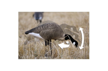 Image of Higdon Outdoors XS TruFeeder Motion Decoy - Alpha Canada Goose w/ Ring Base, 50721
