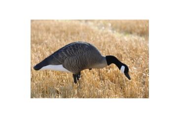 Image of Higdon Outdoors XS TruFeeder Motion Decoy - Alpha Canada Goose w/ Ring Base, 50721