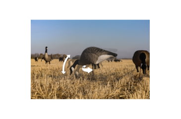 Image of Higdon Outdoors XS TruFeeder Motion Decoy - Alpha Canada Goose w/ Ring Base, 50721