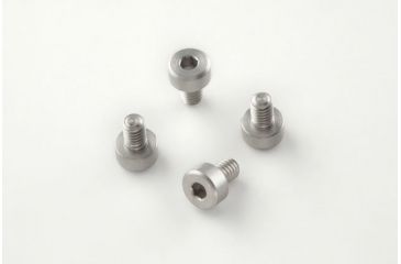 Image of Hogue Ruger MK II Screw (4) Hex Satin 82019