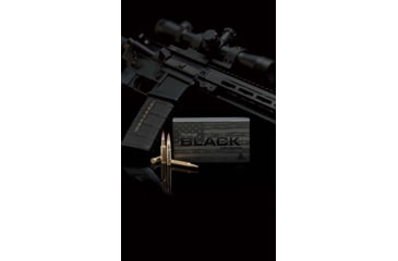 Image of Hornady BLACK 300 Blackout 110 Grain Ntx Brass Cased Rifle Ammo, 20 Rounds, 80862