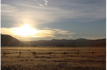 Image of Start Preparing for Deer Season Early