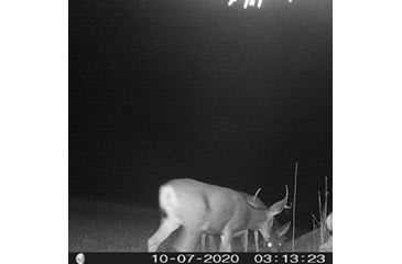 Image of Setting the time on your game camera tells you when they're active, many even have moon phases.
