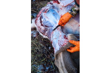 Image of Removing Hide From Deer