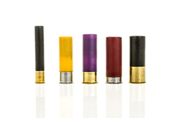 Image of Several gauges of shotgun shells.