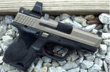 Image of Leupold Red Dot Sight on SW
